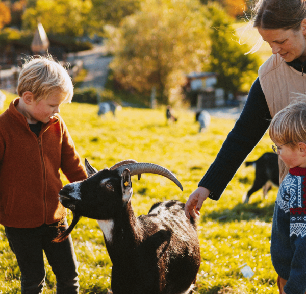 Oplev dyr i Madsby Legepark